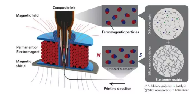 今日Nature封面: MIT趙選賀團隊打印磁性智能軟機器